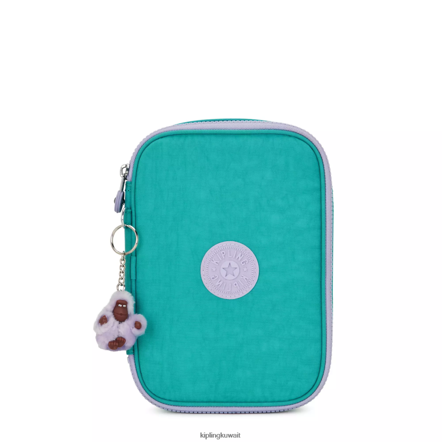 Kipling 100 علبة اقلام نحيف سيرفر جرين ZR2RH568 أقلام وأقلام رصاص