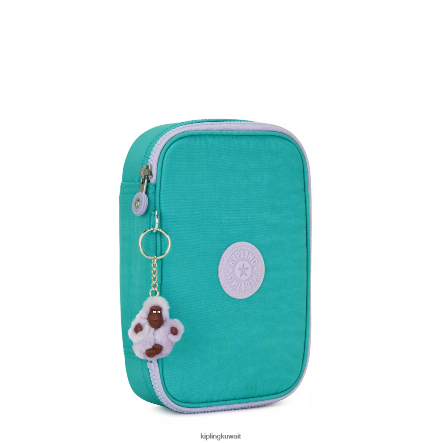 Kipling 100 علبة اقلام نحيف سيرفر جرين ZR2RH568 أقلام وأقلام رصاص
