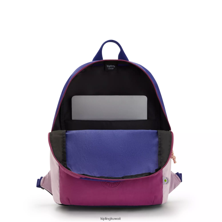 Kipling حقيبة ظهر سوني للكمبيوتر المحمول مقاس 15 بوصة نحيف قرمزي مترب ZR2RH425 حقائب ظهر للكمبيوتر المحمول
