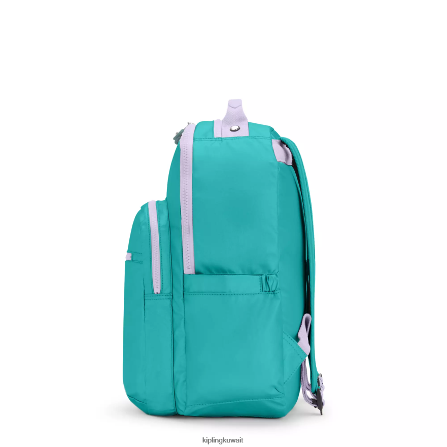 Kipling حقيبة كمبيوتر محمول كبيرة الحجم 15 بوصة من سيول نحيف سيرفر جرين ZR2RH429 حقائب ظهر للكمبيوتر المحمول