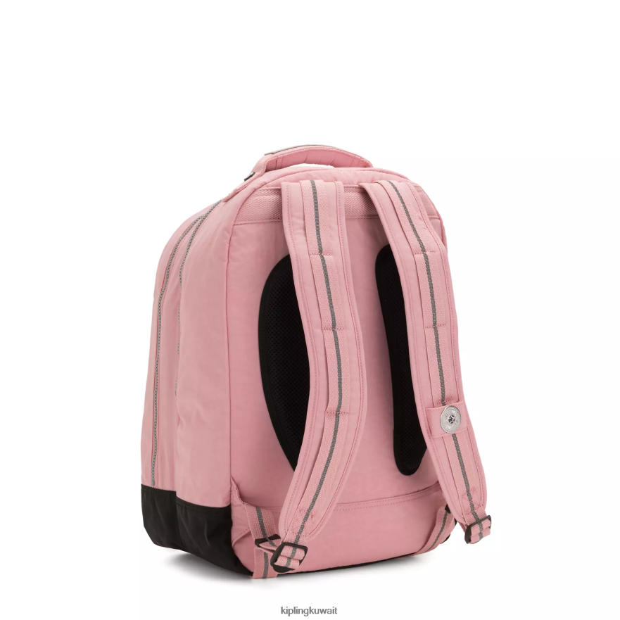 Kipling غرفة الصف 17 