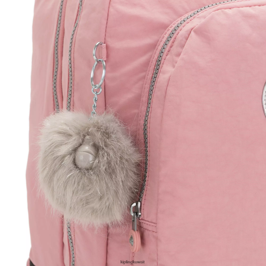 Kipling غرفة الصف 17 