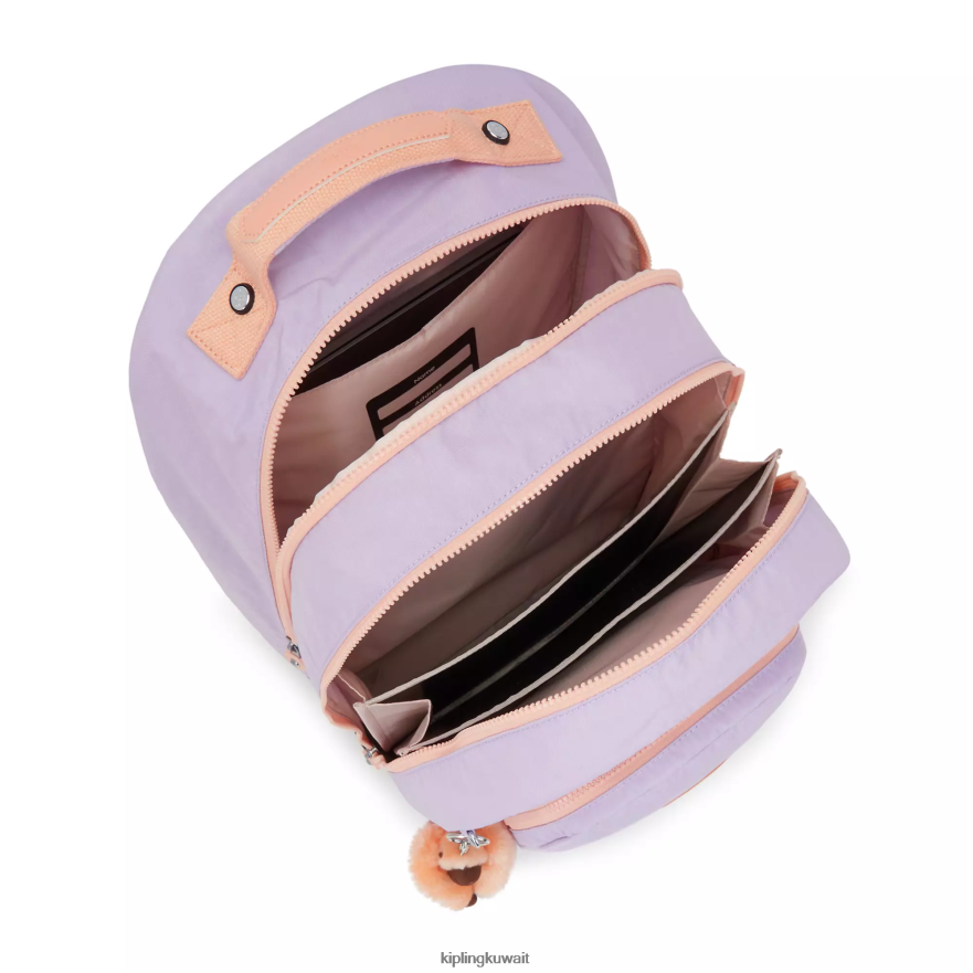 Kipling غرفة الصف 17 