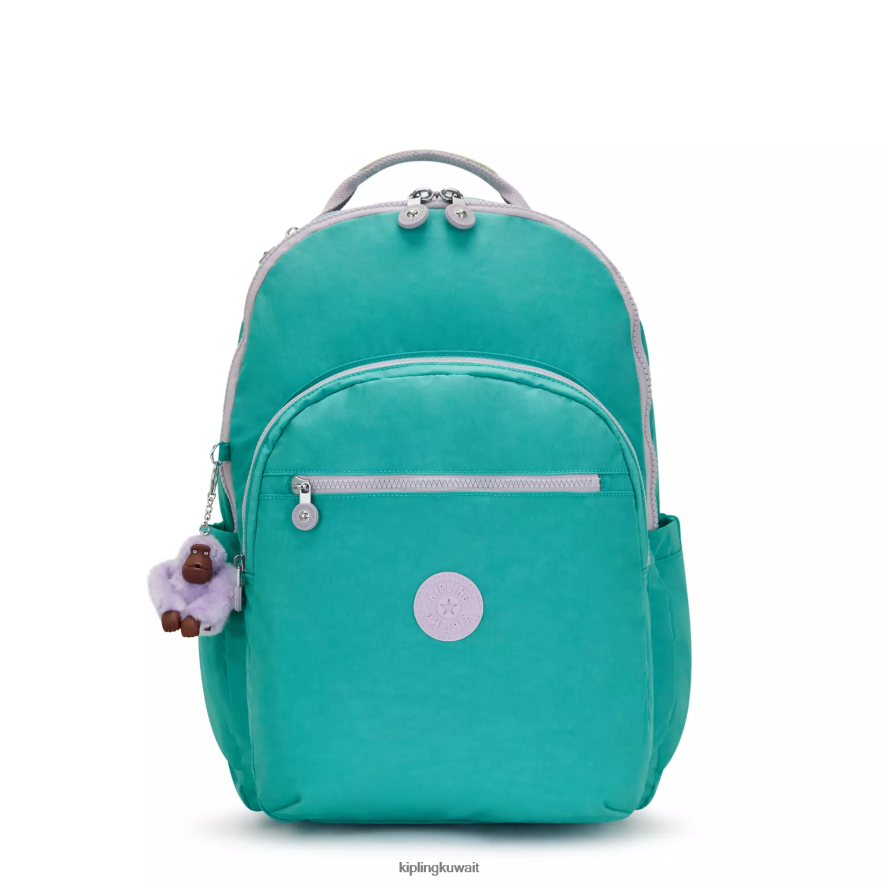 Kipling حقيبة كمبيوتر محمول كبيرة جدًا مقاس 17 بوصة من سيول نحيف سيرفر جرين ZR2RH449 حقائب ظهر للكمبيوتر المحمول
