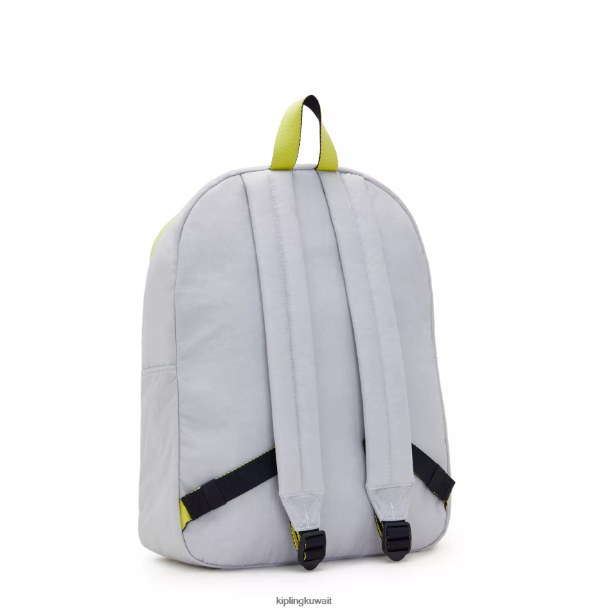 Kipling كورتيس حقيبة كمبيوتر محمول كبيرة 17 بوصة نحيف رمادي الهواء ZR2RH485 حقائب ظهر للكمبيوتر المحمول