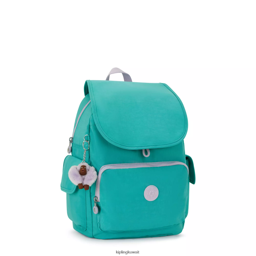 Kipling حقيبة ظهر سيتي باك نحيف سيرفر جرين ZR2RH350 حقائب ظهر الموضة