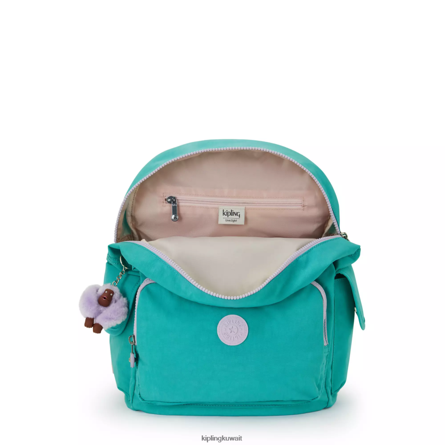 Kipling حقيبة ظهر سيتي باك نحيف سيرفر جرين ZR2RH350 حقائب ظهر الموضة