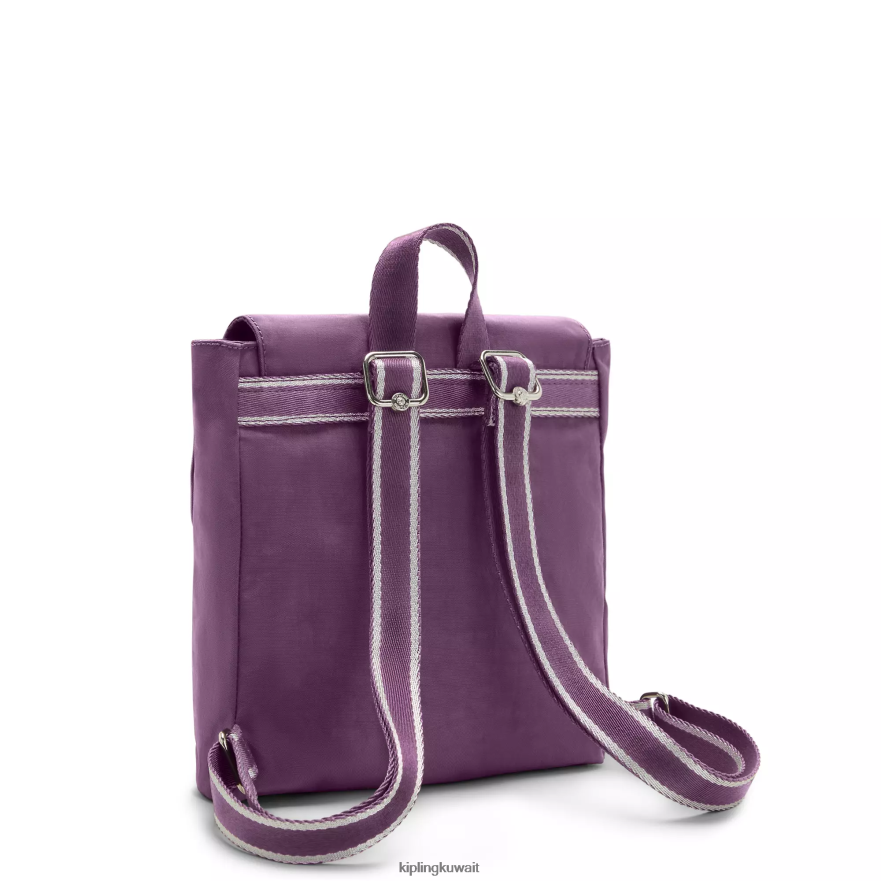Kipling حقيبة ظهر صغيرة داني نحيف البرقوق اللانهائي ZR2RH394 حقائب ظهر الموضة