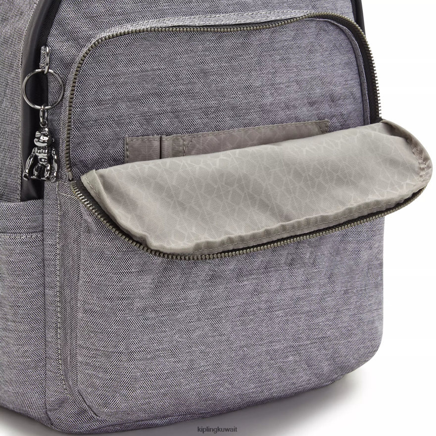 Kipling حقيبة ظهر ديليا نحيف تقريبا رمادي ZR2RH400 حقائب ظهر الموضة