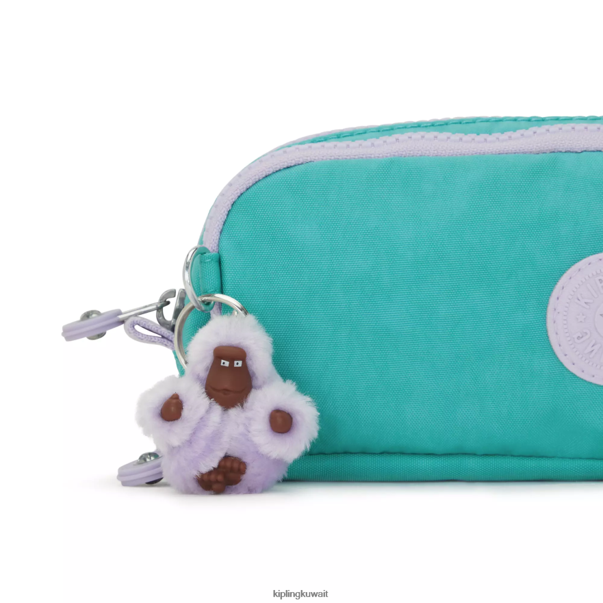 Kipling مقلمة جيتروي نحيف سيرفر جرين ZR2RH578 أقلام وأقلام رصاص